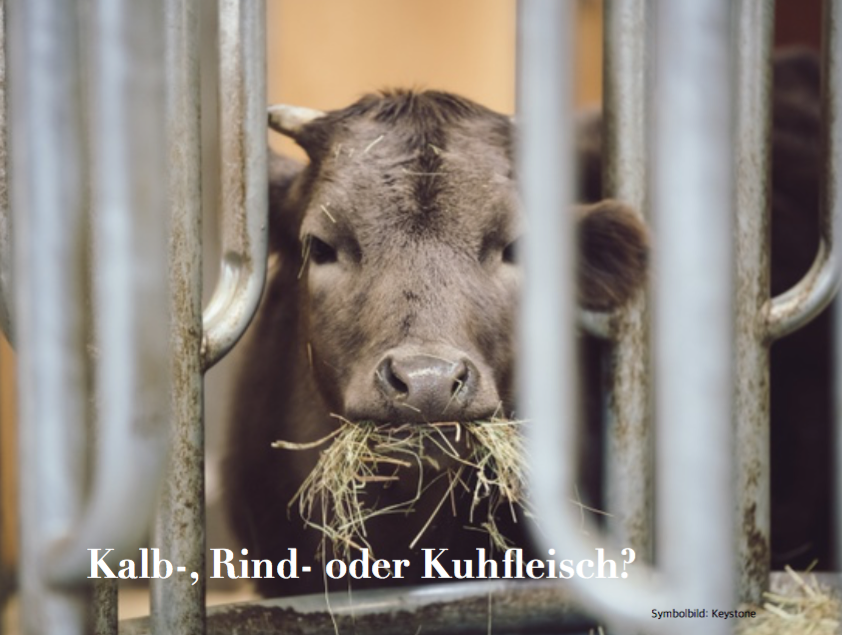 Kalb-, Rind- oder Kuhfleisch? - Schweizerisches Konsumentenforum kf